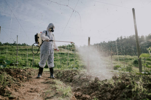 Best Best Pest Control Companies  in , KY