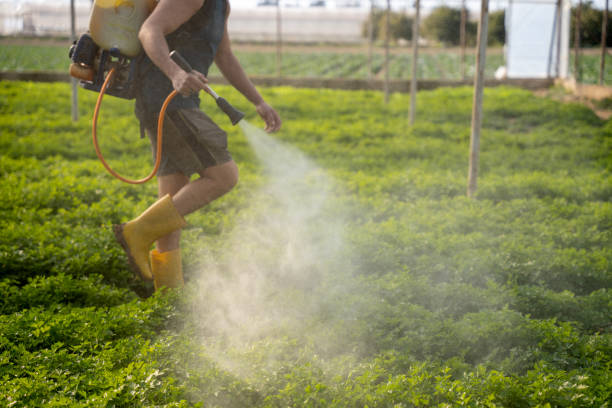 Best Pest Control Cost  in , KY