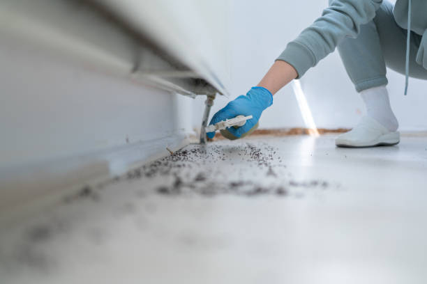 Best Affordable Pest Control Services  in , KY